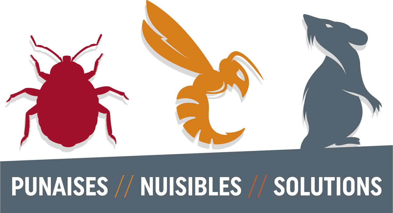 Essentials Logo
